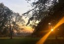 Sonnenuntergang im Park