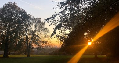 Sonnenuntergang im Park