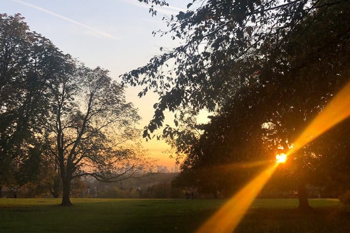 Sonnenuntergang im Park