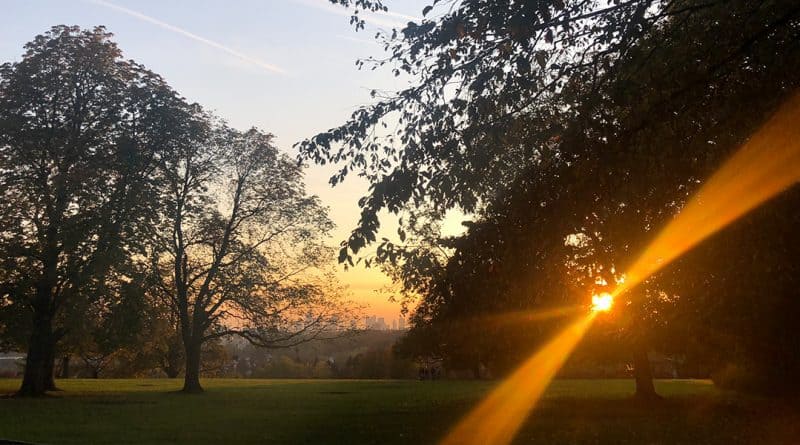 Sonnenuntergang im Park