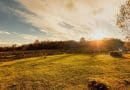 Sonnenuntergang im Tierpark Rheinböllen