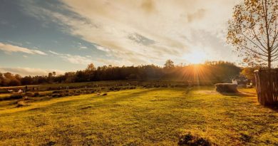 Sonnenuntergang im Tierpark Rheinböllen