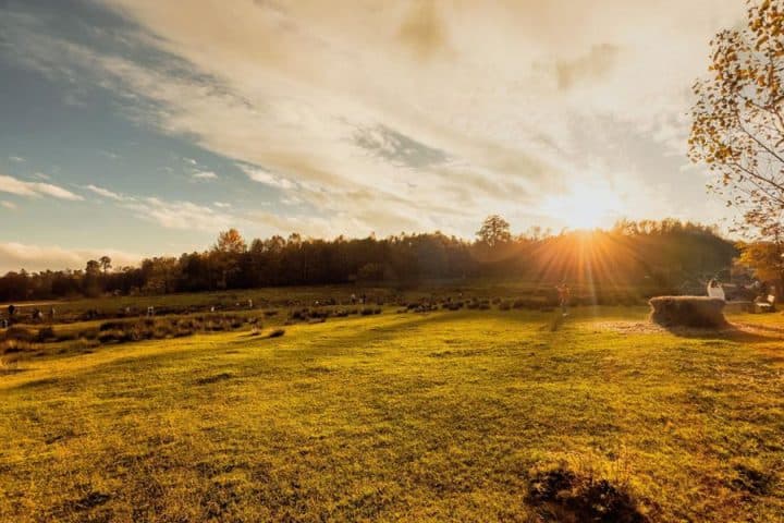 Sonnenuntergang im Tierpark Rheinböllen