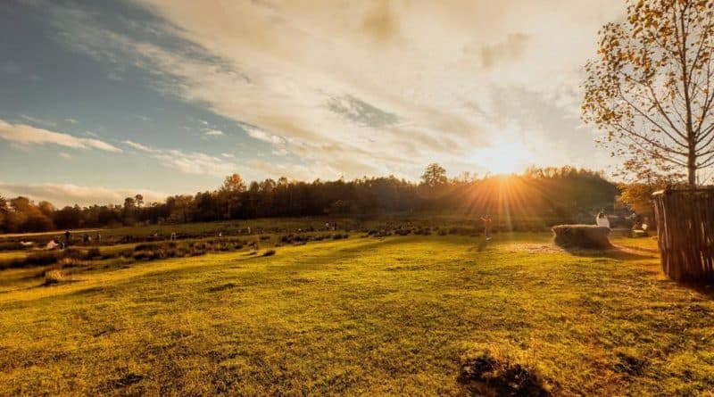 Sonnenuntergang im Tierpark Rheinböllen