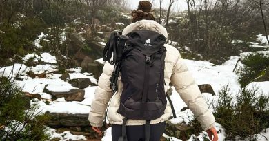 Seelenwärme begeistert im Winterwald