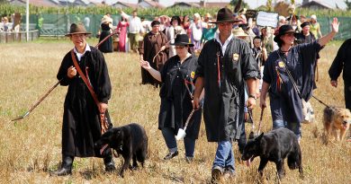 Schäferlauf Markgröningen - Schäfer mit ihren Hunden auf dem Stoppelfeld