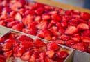 Erdbeerfest Wasem - Erdbeerkuchen