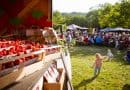 Erdbeerfest Wasem