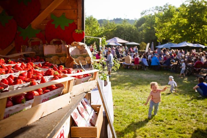 Erdbeerfest Wasem