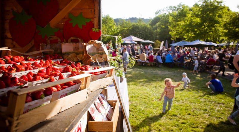Erdbeerfest Wasem