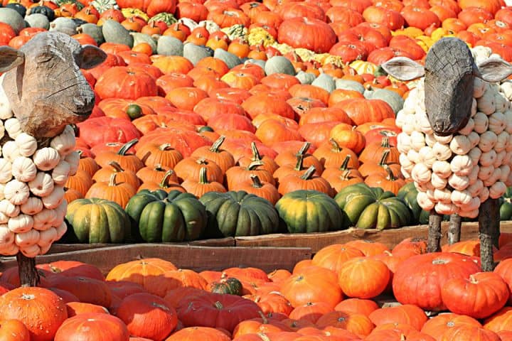 Figuren aus Kürbis