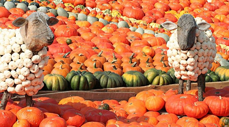 Figuren aus Kürbis