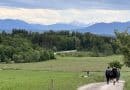 Unterwegs zu den Alpen beim Megamarsch München