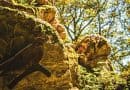 Felsen mit kuckuck