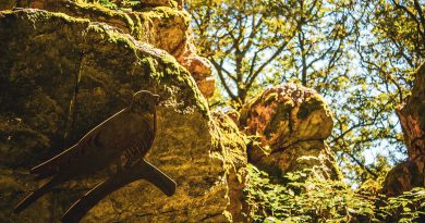 Felsen mit kuckuck
