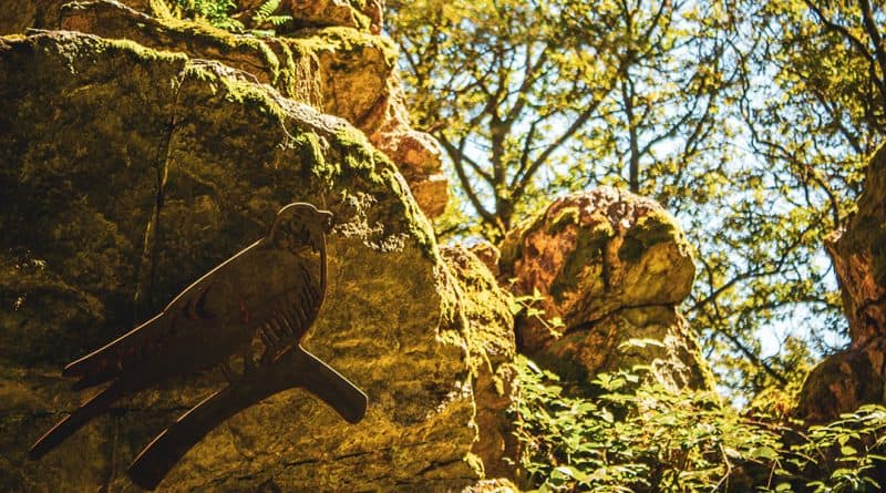 Felsen mit kuckuck