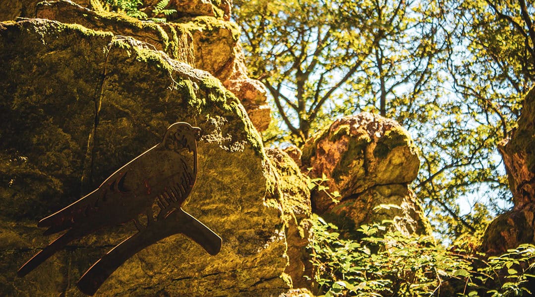 Traumschleifchen Kuckucksnack – Ein traumhafter Wanderweg für Naturbegeisterte