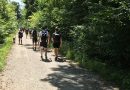 Mal Schotter, mal Asphalt, dann wieder Erde und Gras – die Wegbeschaffenheit wechselt ständig, genau wie die Landschaft beim Megamarsch München
