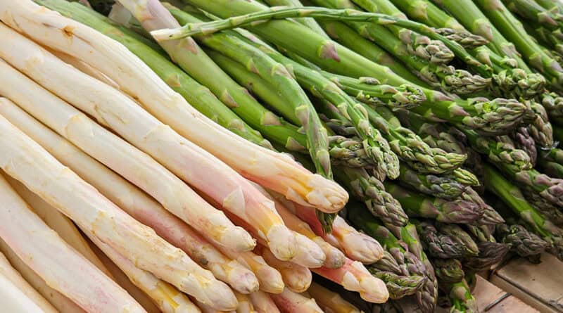 Weißer und grüner Spargel liegt sauber aufgeschichtet nebeneinander