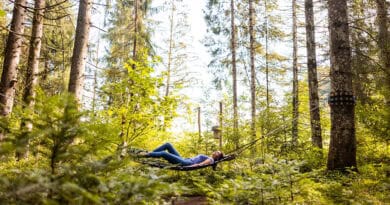 WALDBADEN IN OBERREUTE Einfach loslassen und mitten im Grünen entspannen