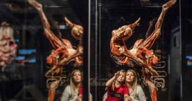 Körperwelten Impression – Mutter und Kind mit Ballettänzerin