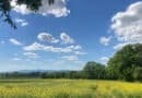 Sonne und Schönwetterwolken
