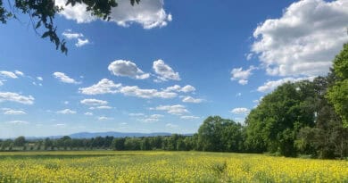 Sonne und Schönwetterwolken