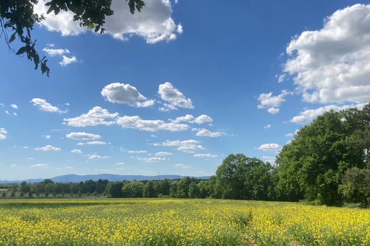 Sonne und Schönwetterwolken
