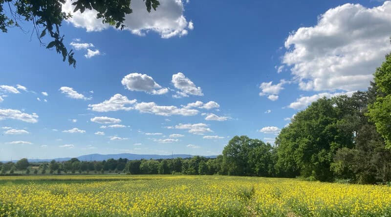 Sonne und Schönwetterwolken