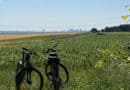 KONTRASTE Natur und Großstadt-Flair sind auf vielen verschiedenen Routen im Rhein-Main-Gebiet vereint.
