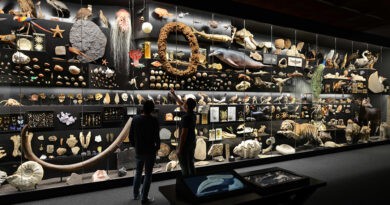 Besucher blicken auf die Faszination Vielfalt