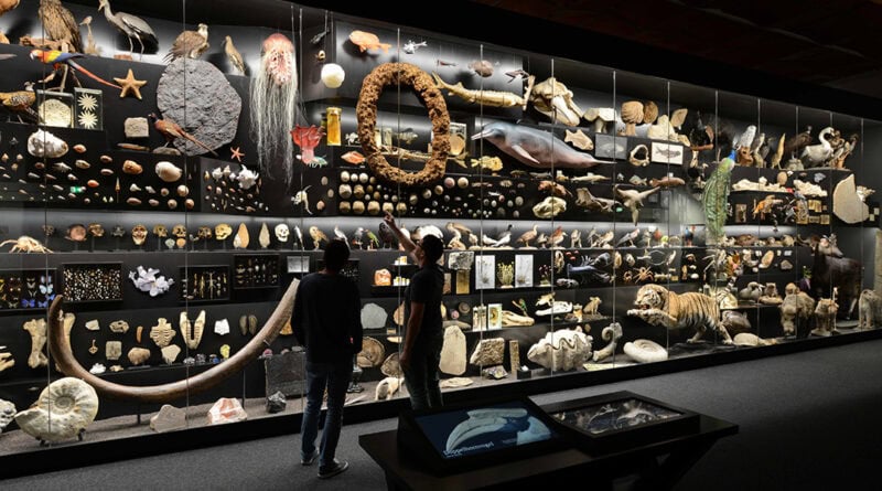 Besucher blicken auf die Faszination Vielfalt