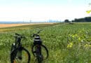 Blick auf die Frankfurter Skyline vom Standort Kleine Loh an der Hohen Straße.