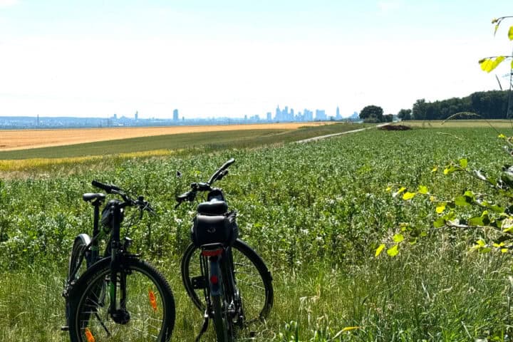 Blick auf die Frankfurter Skyline vom Standort Kleine Loh an der Hohen Straße.