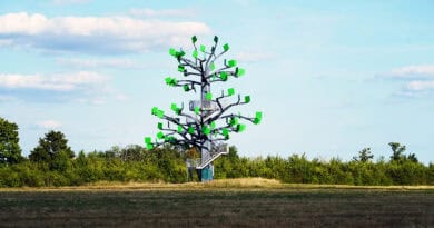 Eisenbaum im Regionalpark RheinMain