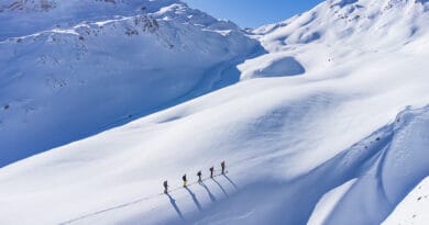 Lawinenbulletin des SLF: Tägliche Einschätzung jetzt auf White Risk