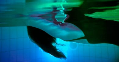 Lange Nacht der Thermen – Toskana Therme Bad Orb