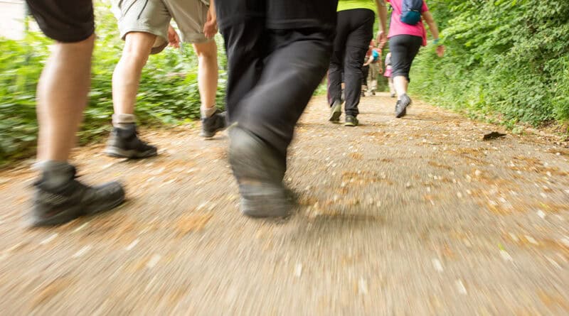 Megamarsch vs. Mammutmarsch: Zwei Wanderwelten im Vergleich