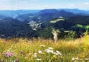 Blick über Bad Griesbach im Schwarzwald mit bewaldeten Höhen, grünen Wiesen und blühender Bergwiese im Vordergrund.